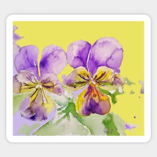 Viola Watercolor Purple Flower - violas On Yellow Sticker